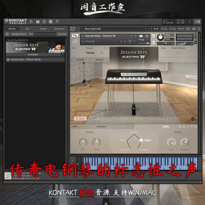 传奇电钢琴音源Session Keys Electric W音色复古温暖动态kontakt