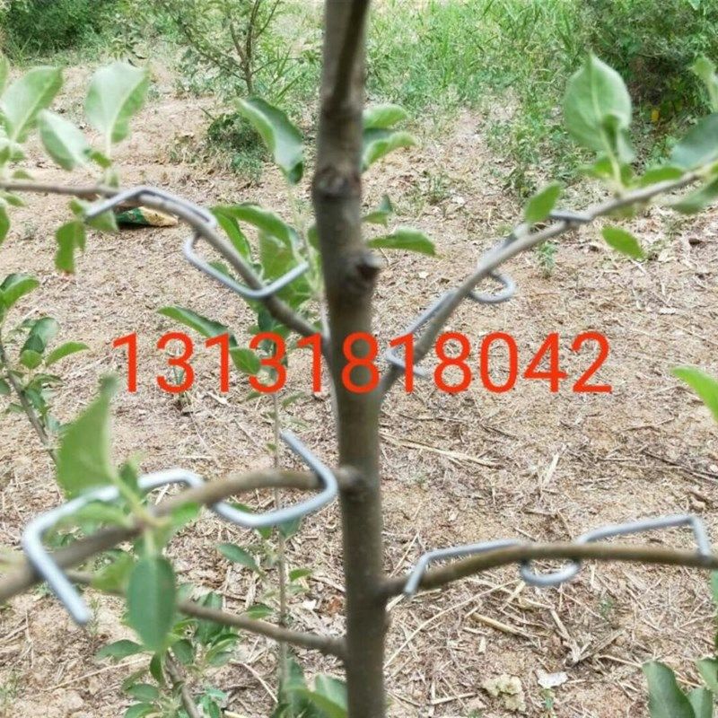 永德助别枝器压枝定型开角拉枝拨园农用园艺工具包邮果树柑橘石榴