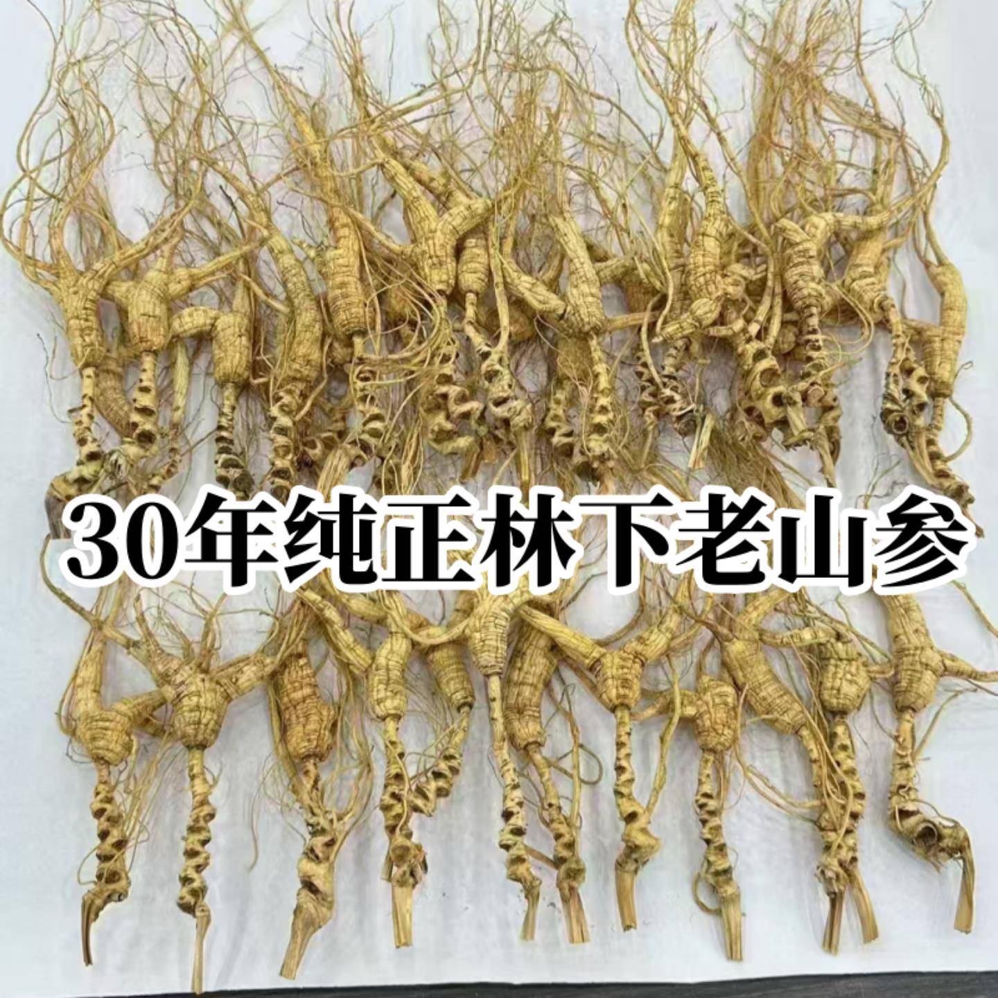 吉林野生人参长白山野山参25年20年30年林下参干人参山参籽货礼盒