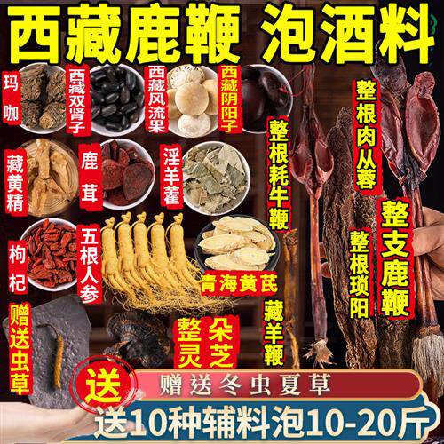 泡酒药材专用鹿茸鞭王泡酒料男性十全肾人参药酒配方材料大枸杞补