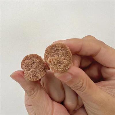 晓雅五红丸免煮冲泡小包装红衣花生枸杞红豆红枣红糖健康办公室零