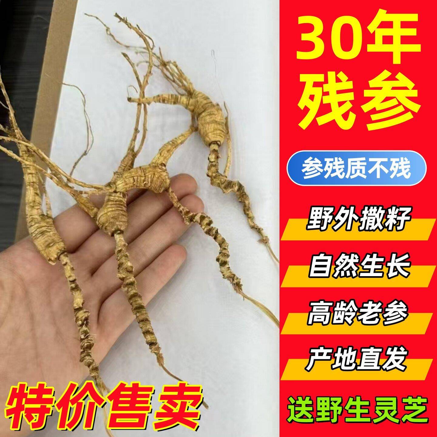 正宗高龄野山参人参长白山林下残参干货药材泡酒泡茶煮茶煲汤专用