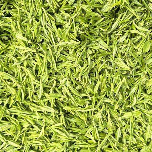 【一斤】安吉白茶2025新茶正宗明前特级高山礼盒装珍稀绿茶白茶叶