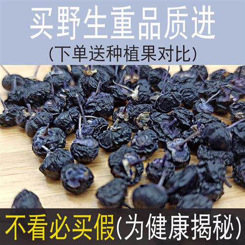精选免洗头茬青海纯优选黑枸杞诺木洪大果正品200g非宁夏柴达木