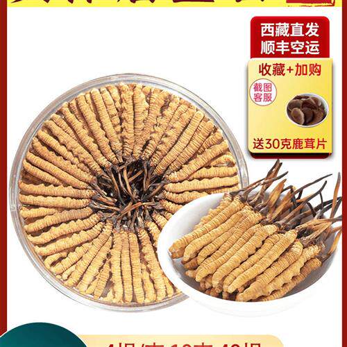 西藏那曲冬虫夏草官方旗舰店首期冬虫夏草正品4片/克40片10g礼盒