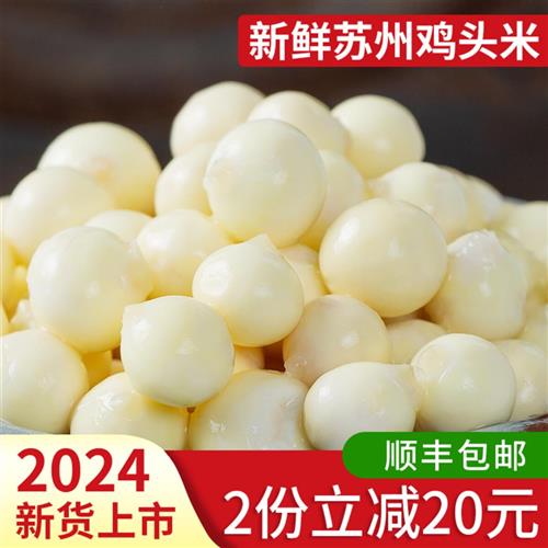 顺丰航空500g大丹鸡头米新鲜2024苏州芡实斗欠茨农家苏芡非干货