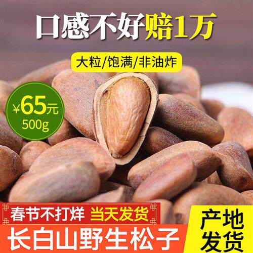 东北长白山野生松子500g 非油炸原味 特大粒开口2024新货