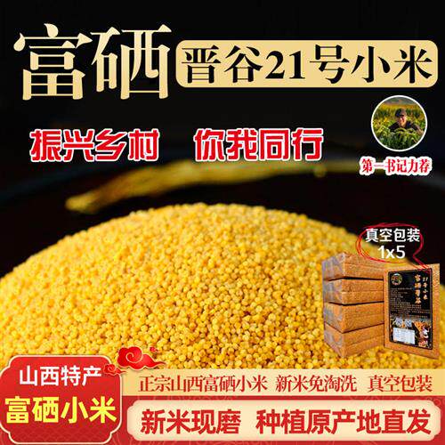 山西特产正宗富硒黄小米免淘洗农家自产小黄米食用新鲜月子米脂粥