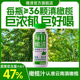 新日期 橄清 每日橄清滇橄榄汁245mL 12瓶 健康饮料整箱批特价