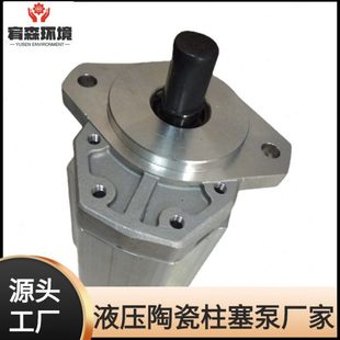 yb泥浆柱塞泵齿轮油泵YB陶瓷柱塞泥浆泵咸阳泵配件齿轮泵渣浆泵