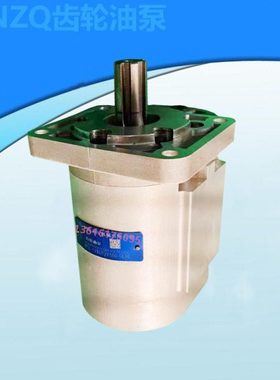 齿轮油泵CBNZQ-F520/F525/F532/F540/F550/F563-BLH/BLPL环卫车泵