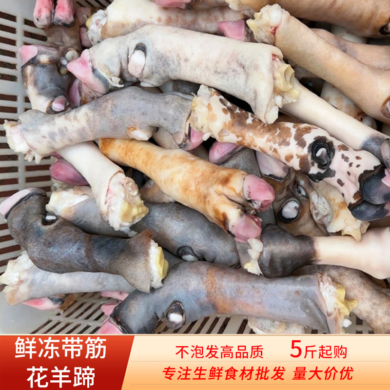 新鲜花羊蹄黑山羊羊蹄子清真内蒙古散养冷冻带筋羊蹄脚蹄商用批发