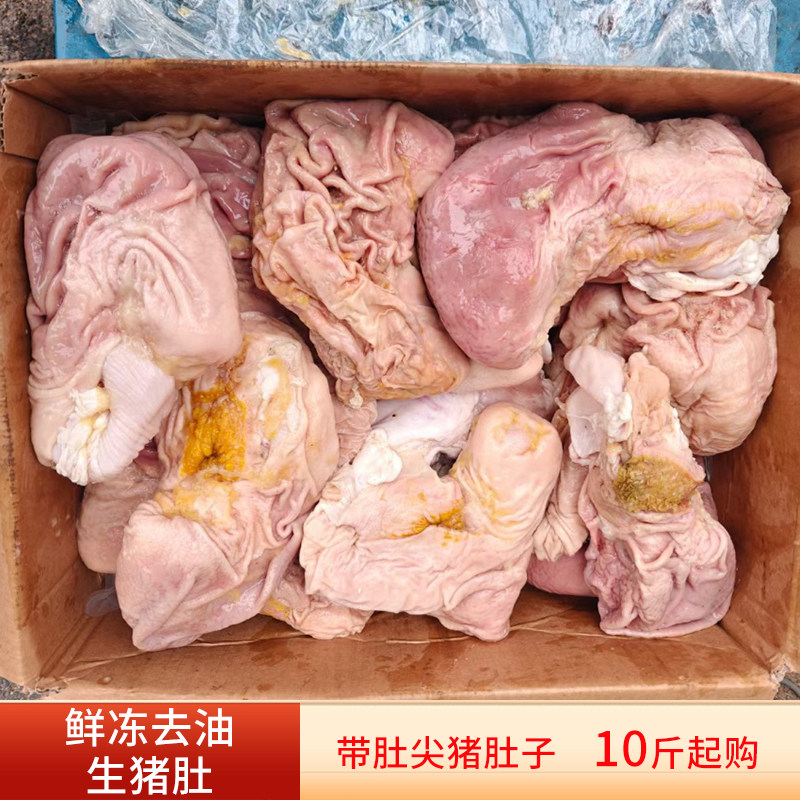 新鲜冷冻带肚尖生猪肚商用批发全肚猪肚鸡煲汤生鲜食材