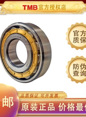 天马TMB轴承N224 N226 N228 N230 N232 N234 N238 N240 N244EM