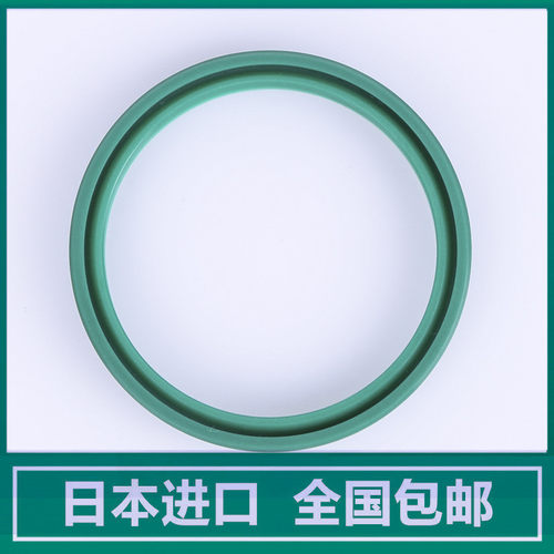 DHS136 140 145 160 165 180 200 204LBH/DH进口VALQUA防尘密封圈