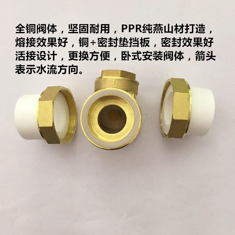 PE黄铜卧式止回阀单向阀ppr63水管4分6分1寸水表DN20/25热熔管件