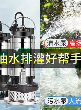 德国进口潜水泵220v小型污水泵家用抽水泵大流量农用抽水机灌溉排