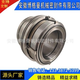 1F40DE机械密封 造纸压力筛机械密封 D31TA 安徽博格曼LP