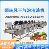大型菌菇净菜清洗机 菠菜韭菜去泥沙清洗线 黄瓜去农残设备