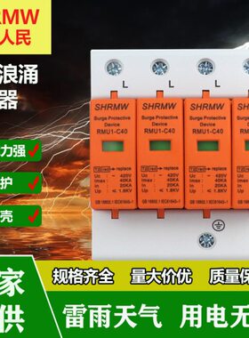 上海人民SPD浪涌保护器T2/4P40KA防雷开关380V220V避雷器工业家用
