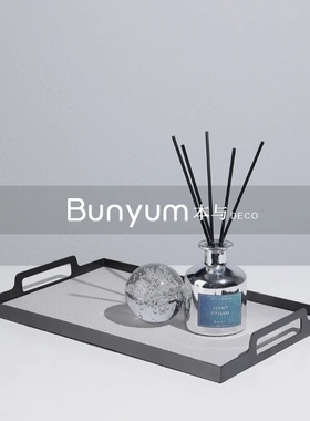 简约现代轻奢手提皮质金属装饰收纳托I盘样板间客厅茶几桌面摆件