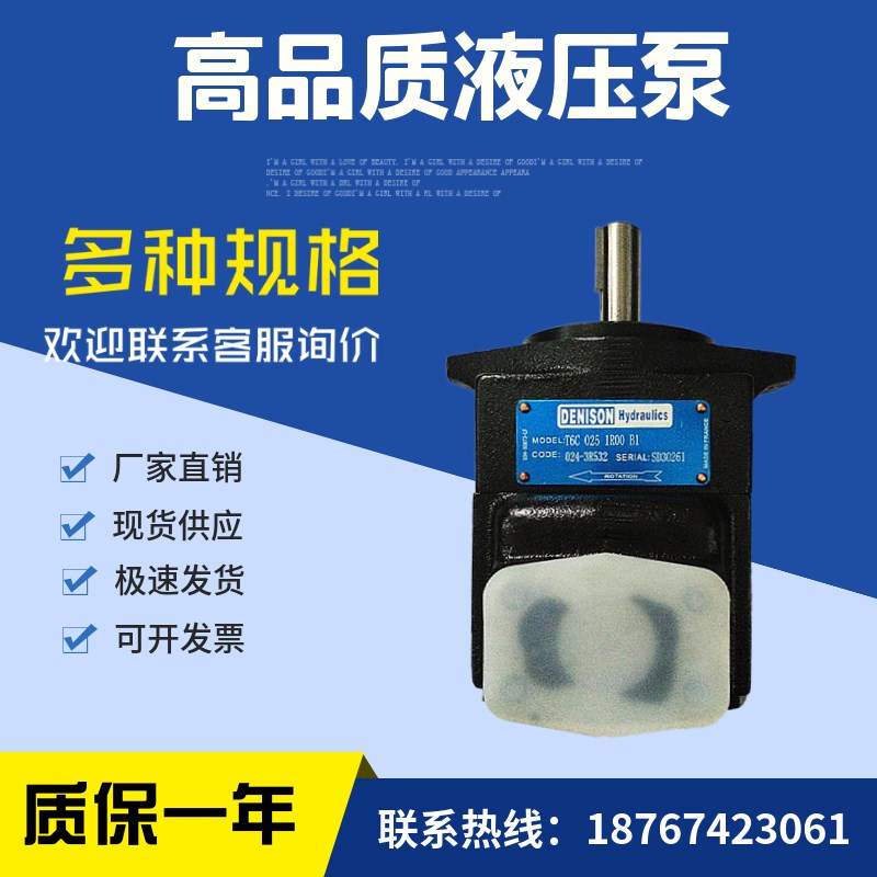法国Denison油泵T6E 072 1R01 BA1,丹尼逊叶片泵T6E 066 1R01 A1
