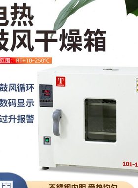 天津泰斯特电热鼓风干燥箱101-1DB101-2DB烘箱101-3AB恒温箱101-0