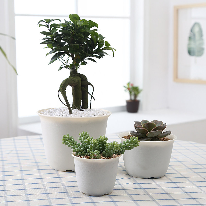 绿萝植物肉肉老桩多肉花盆创意个性大口径塑料家用简约朔料加厚