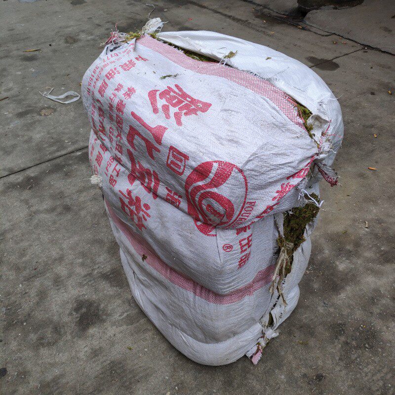 国产绿色干水苔苔藓宠物垫材铁皮石斛蝴蝶兰土兰花土苗木嫁接保湿