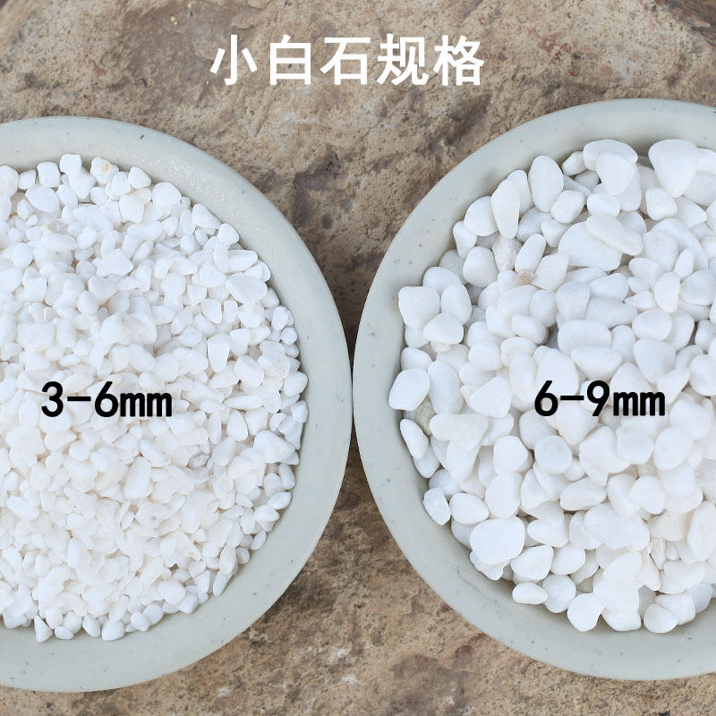 多肉植物 水培植物室内土培 多肉介质小白石石头装饰铺面满包邮