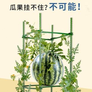 阳台西瓜架子番茄支架三角架豆角黄瓜架子植物爬藤架花拼接支撑杆