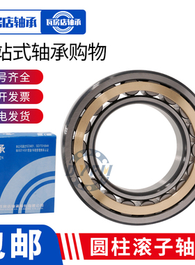 瓦房店圆柱滚子轴承RN 312 313 314 315 316 317 318 319 EM