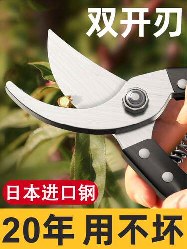 日本进口sk5园林剪刀修枝剪花剪树枝果树园艺专用花卉剪省力剪子