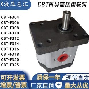 320 齿轮泵CBT 316 310 325定制齿轮泵各类齿轮异型定做替代 F306
