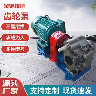 KCB300齿轮油泵化工防爆齿轮泵304不锈钢齿轮泵配防爆电机