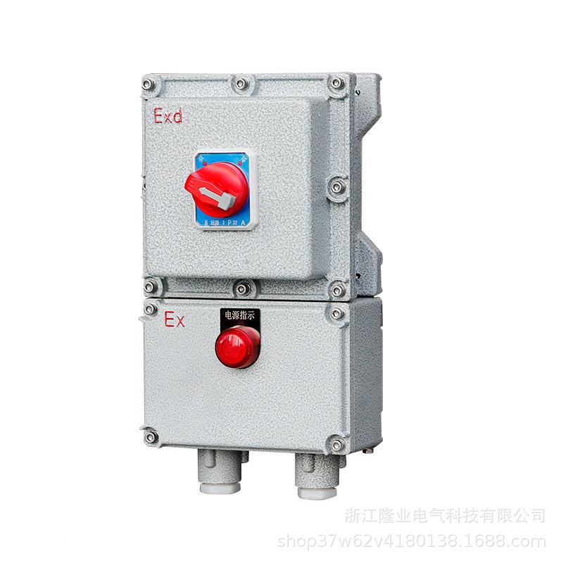 BD25保2同款IIZB级铸铝防爆断路器20V/380V防16A/2P爆开关箱带漏