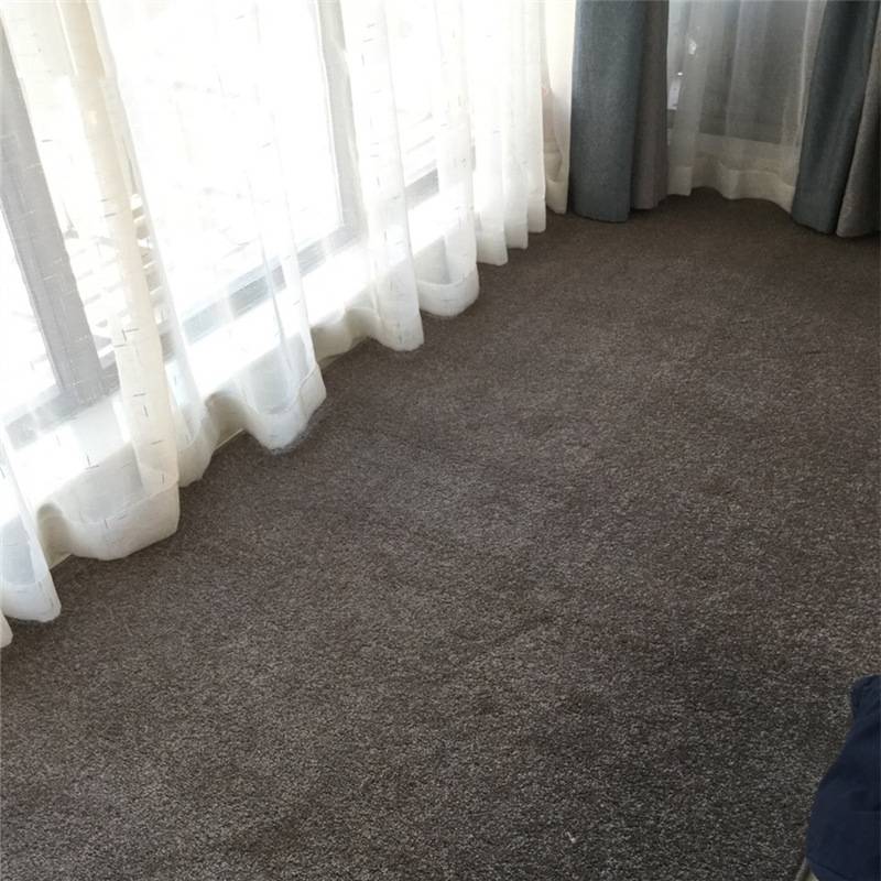纯色客厅地毯沙发茶几地垫床边舒适飘窗卧室床旁满铺全铺家用防滑