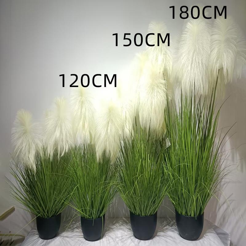 玄硕狗尾巴草仿真芦装苇草假草仿真绿植毛74569150毛虫猫尾草花假