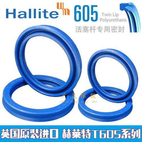 Hallite 赫莱特进口英国H605双唇油封55*65 68 70 75*7 8 9 11 13