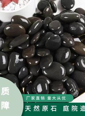 厦门雨花石鹅卵石铺地舖路石子黑色抛光小石头园艺造景庭院园林石