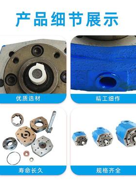 BB-B10//B4/B6/B16/B25/B40 BB-BY50/BY63/B80YBY100油VUB摆线齿