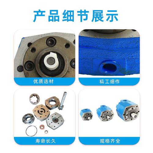 BB-B10//B4/B6/B16/B25/B40 BB-BY50/BY63/B80YBY100油VUB摆线齿