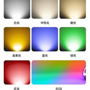 4wL光ED单色投灯防水户外树照灯插地48w灯8别墅草坪亮化灯超亮