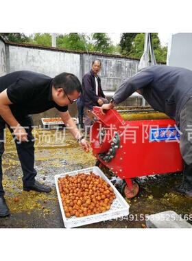 电动桃核脱皮机鲜脱核扒皮机剥桃壳清洗一体机电动核桃ZDG皮机