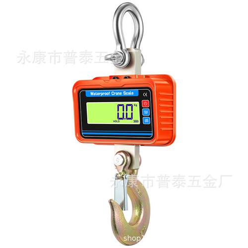 子1000KKG-3000G电吊钩称LE红字绿字D一键PT-154W1切换防水工业吊