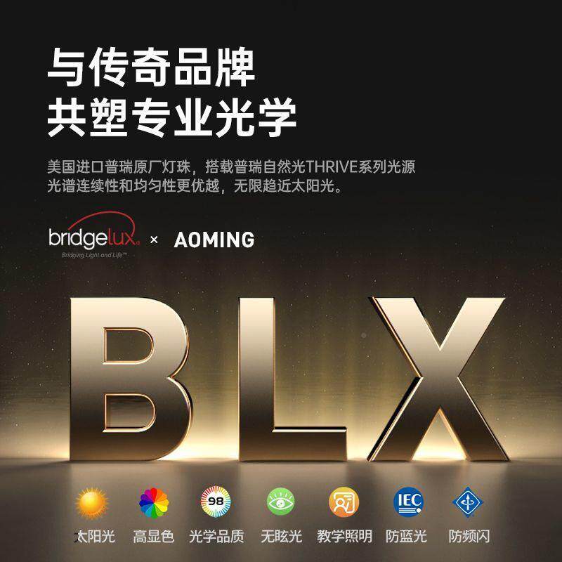 2025新款大灯儿童落业地立式台灯光10谱作书桌防全近视教室路阅