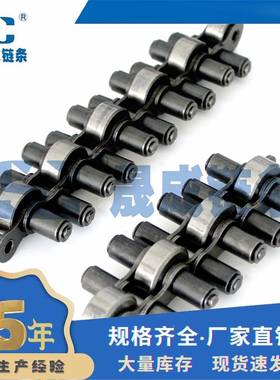 12BS40-28806/C28 1P2BS倍速链 尼龙滚轮  倍-速链条厂家直销 现