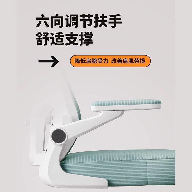 办公椅可躺两用电脑椅常规转 人体学椅久坐椅座椅工 办公室椅子电