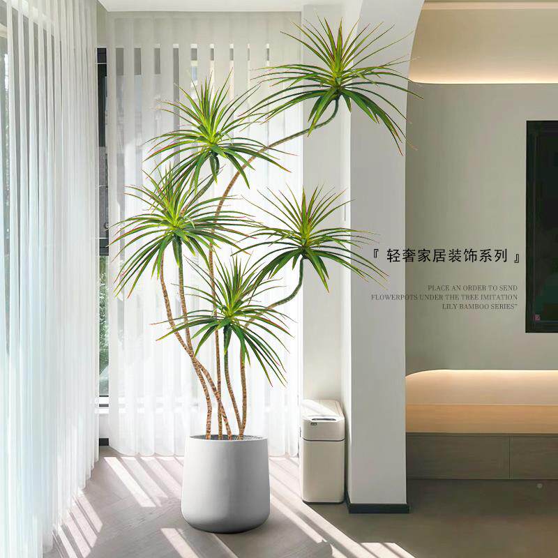 A10L客电视柜旁轻奢F779H69H植室大型落地绿摆件盆栽装饰家居厅内