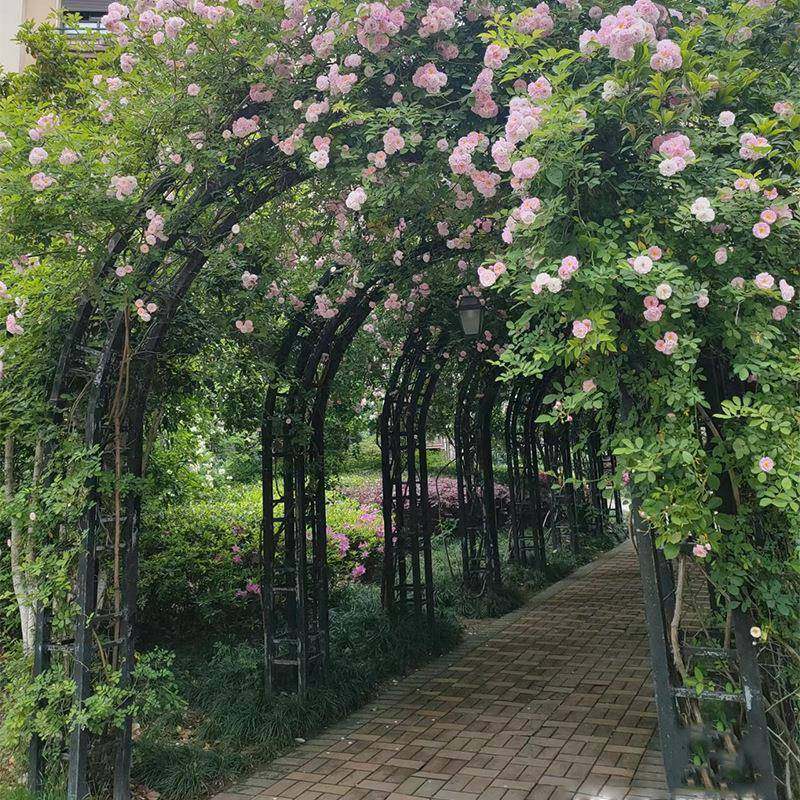 拱门桁架弧形半形圆铁圆艺造型婚庆支架花门架弧铁拱架长1112子廊,节庆用品/礼品,陪嫁用品套装,淘宝优惠券,粉丝福利购,淘宝优惠卷